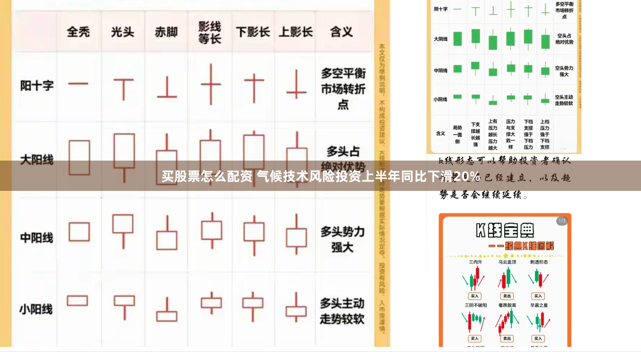 买股票怎么配资 气候技术风险投资上半年同比下滑20%