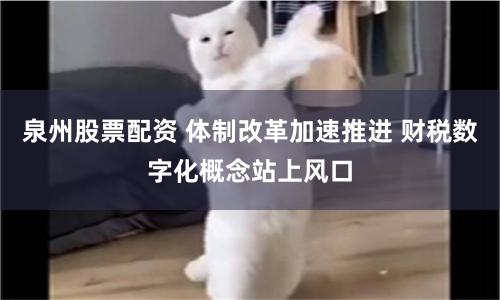 泉州股票配资 体制改革加速推进 财税数字化概念站上风口