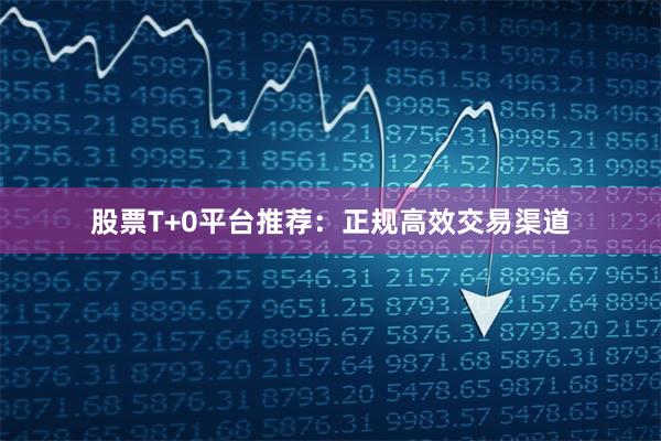 股票T+0平台推荐：正规高效交易渠道
